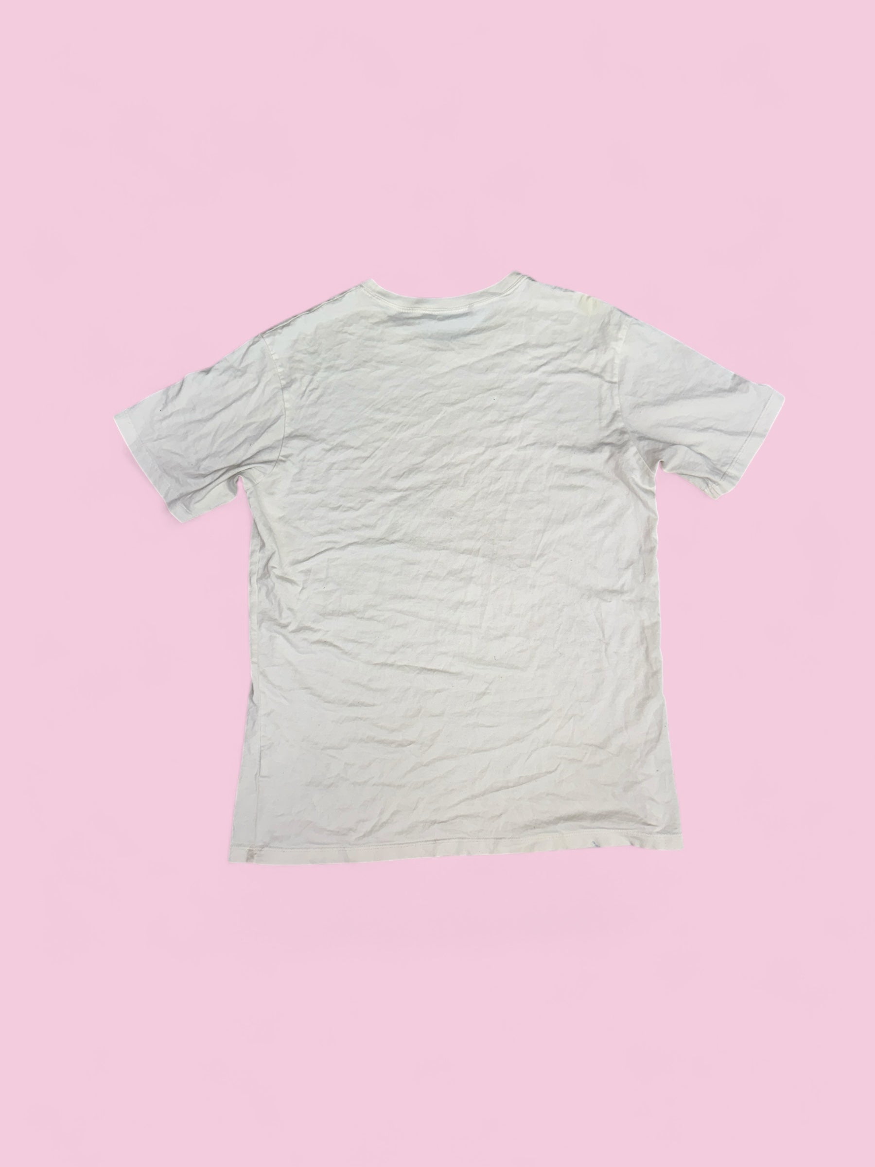 ss06 raf simons "icarus" aether et anima tee